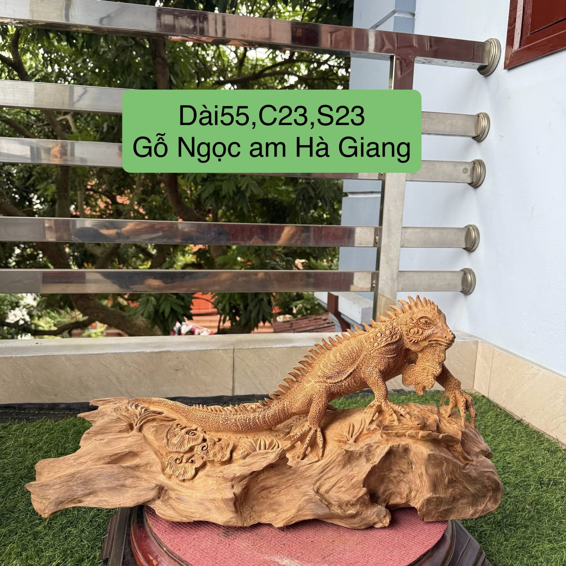 RỒNG ĐẤT - GỖ NGỌC AM HÀ GIANG (TA)