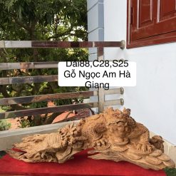 THIỀM THỪ HÓA LONG-GỖ NGỌC AM HÀ GIANG