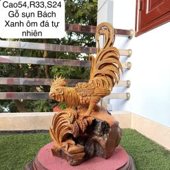 NHẤT KÊ GỖ SỤN BÁCH XANH ÔM ĐÁ TỰ NHIÊN