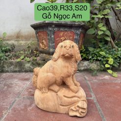 CẬU VÀNG - GỖ NGỌC AM