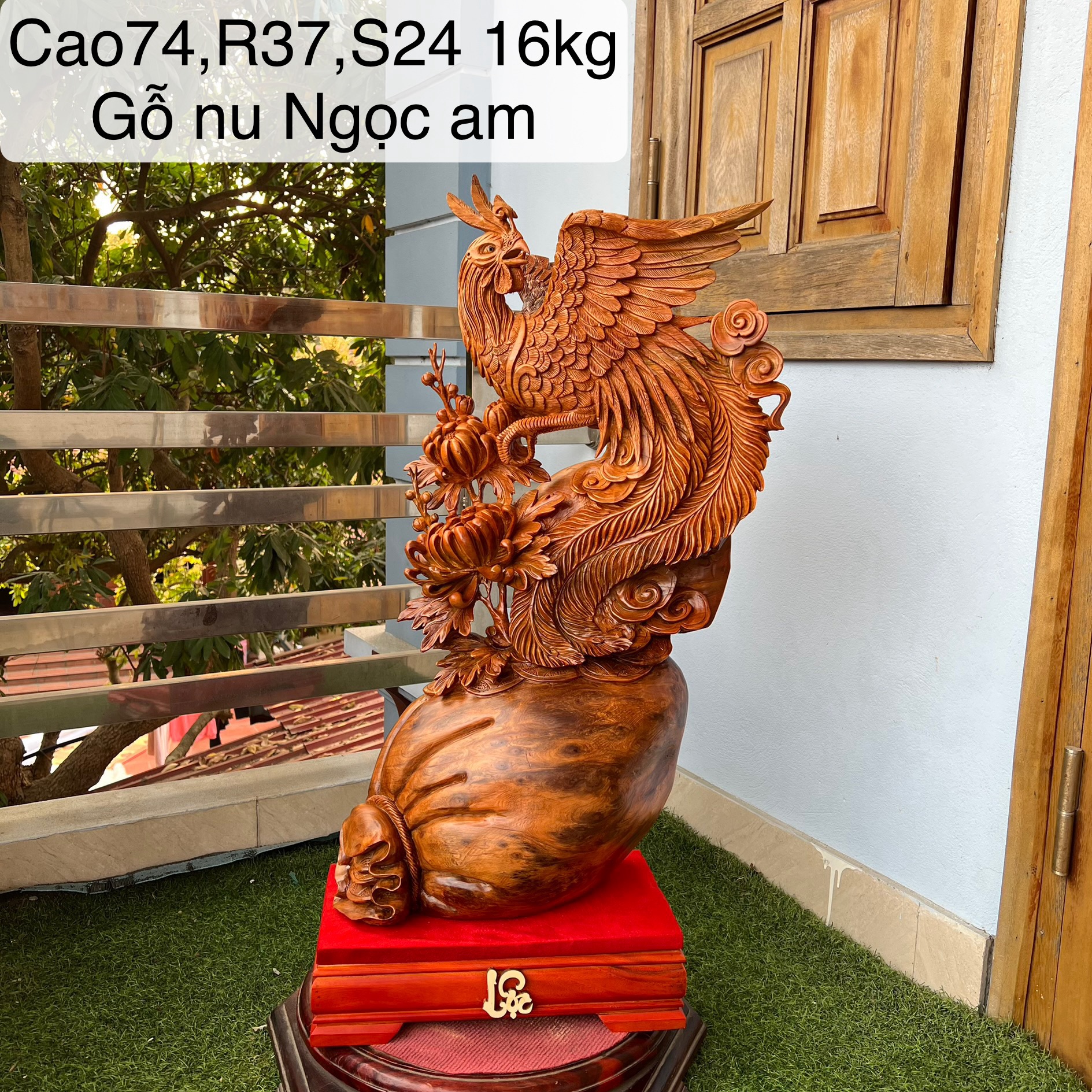 Phượng hoàng lửa (nu ngọc am)