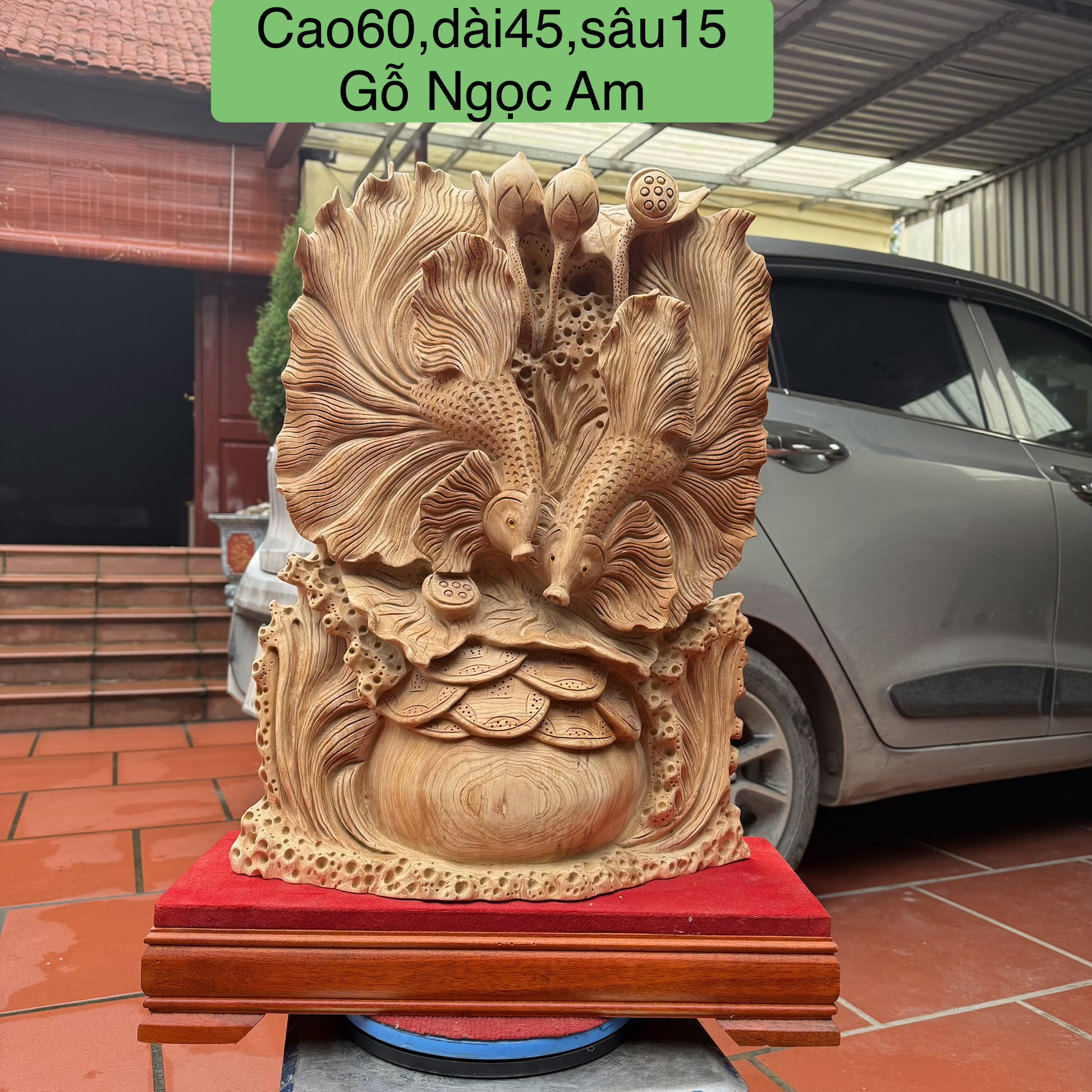 Cá xiêm tài lộc