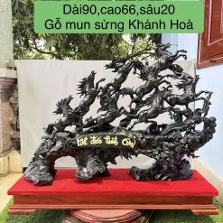 Mã Đáo Thành Công- Gỗ Mun Sừng Khánh Hòa